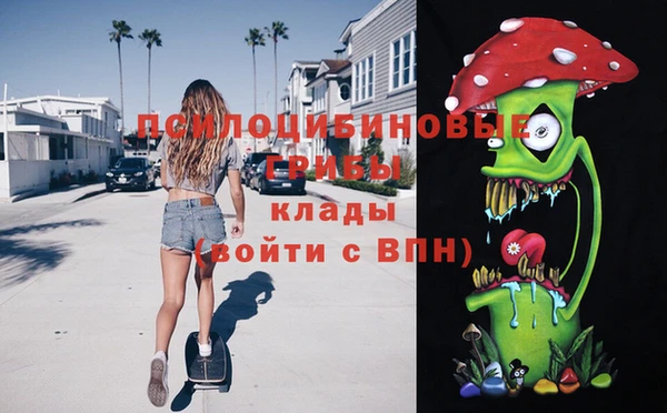 спиды Алексеевка