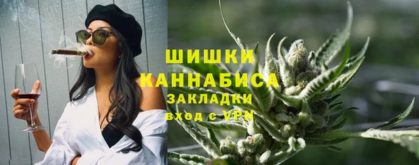 прущие грибы Пестово