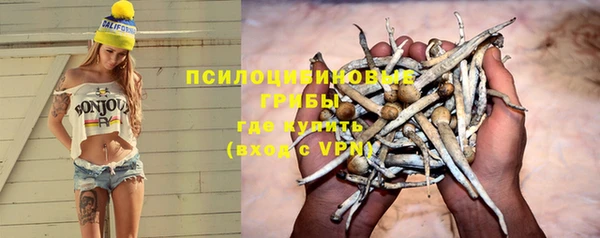 прущие грибы Пестово