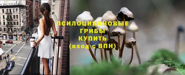 спиды Алексеевка