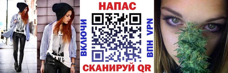 наркота  Сысерть  Каннабис индика 